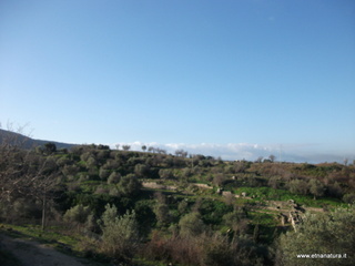 tapiccola-13-01-2013 09-11-37